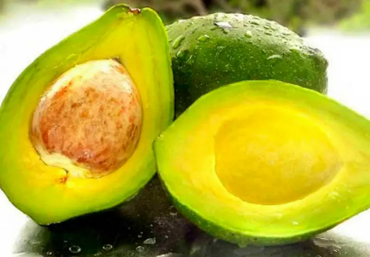 Aguacate. / RR SS.