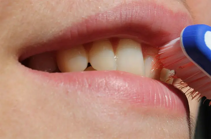 Cepillado de los dientes./ Pixabay