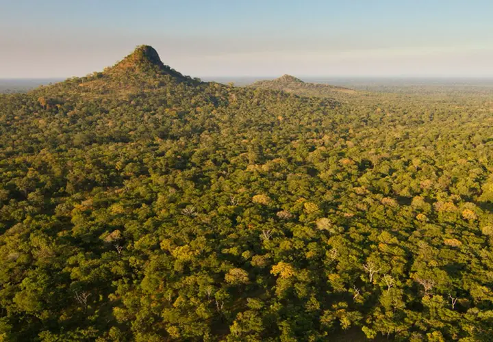 Gorongosa. Gorongosa.org.