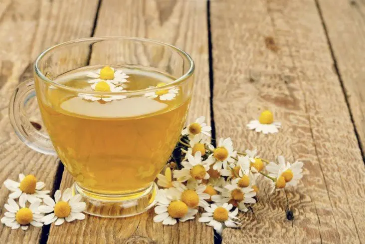 Infusi&oacute;n de manzanilla. VIX