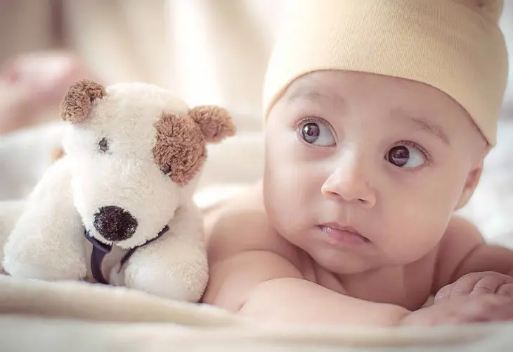 Beb&eacute;. / Pexels.com