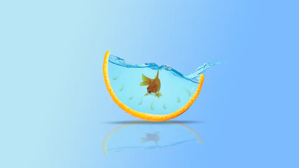 Un acuario.