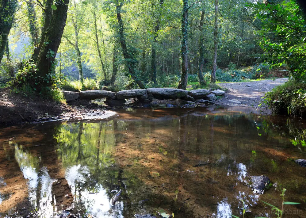 Camino de Santiago franc&eacute;s en el r&iacute;o Catasol (Melide, A Coru&ntilde;a). / Xurxo Lobato