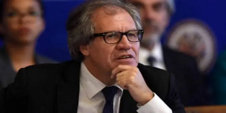 Luis Almagro, secretario general de la OEA. / RRSS.