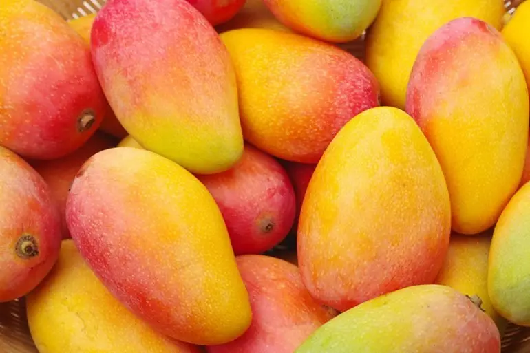 Mango. RR SS.