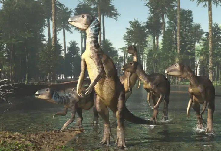 Encuentran una nueva especie de dinosaurio del tama&ntilde;o de un perro en Australia. / The Independent.