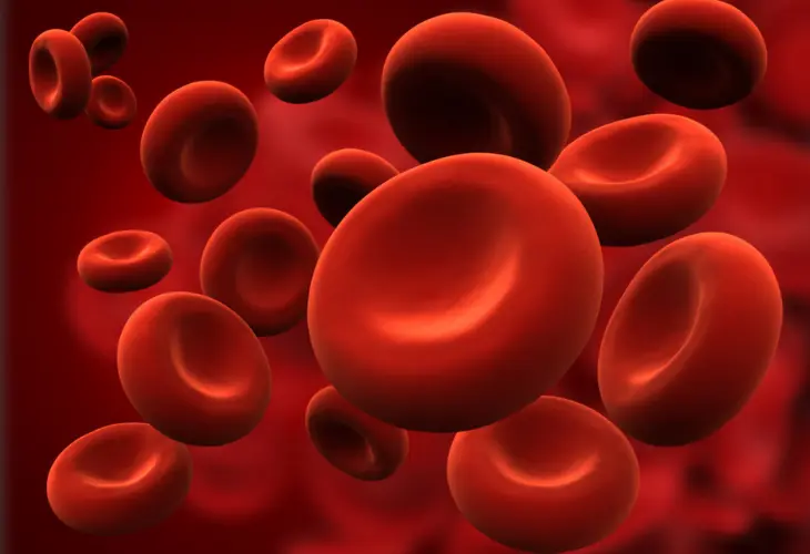 C&eacute;lulas de sangre. / Karolinska Institutet.
