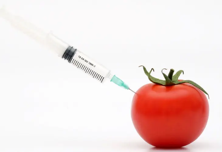 Los alimentos de edici&oacute;n gen&eacute;tica son seguros, concluye un panel japon&eacute;s. /  Cleaneatingmag.com.