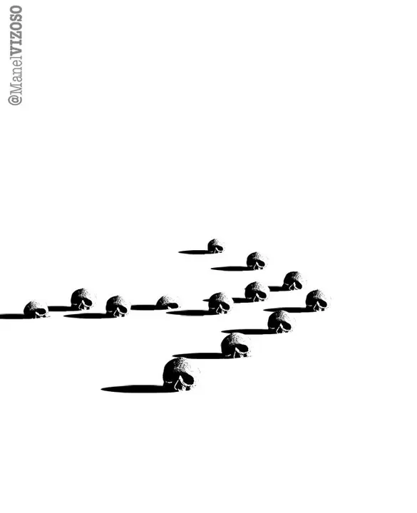 La se&ntilde;al. / Manel Vizoso