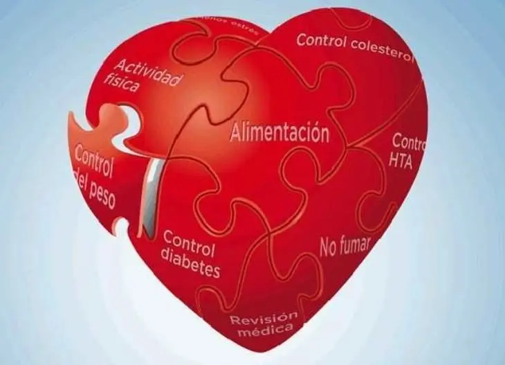 Existen varios factores de riesgo a tener en cuenta en la prevenci&oacute;n de las Enfermedades Cardiovasculares.
