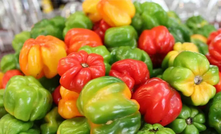 En los colegios hay mucha carne y pocos productos ecol&oacute;gicos. / lhern03880