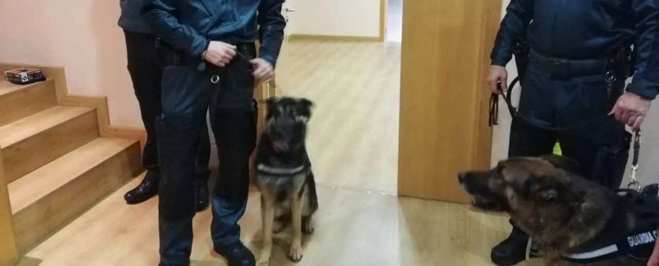 Guardias civiles con Maxi, un pastor alem&aacute;n de 12 a&ntilde;os, que ha intervenido en una treintena de operaciones antidroga en Galicia. / Isabel Bravo, de Radio Coru&ntilde;a