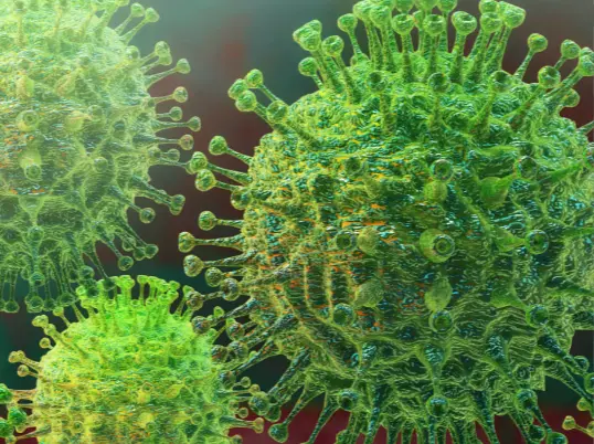 Coronavirus. RR SS.