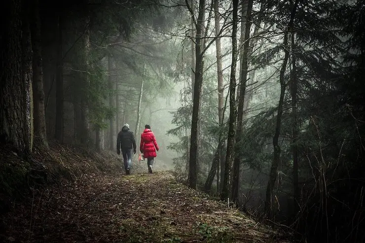 Una pareja caminando por un bosque. / Pixabay