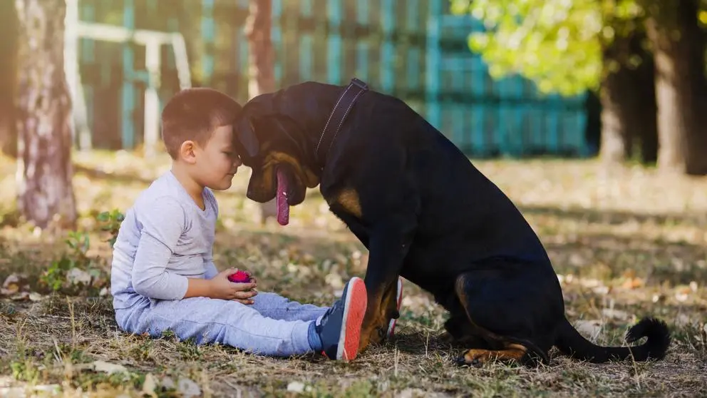 Ni&ntilde;o y perro./ La Vanguardia