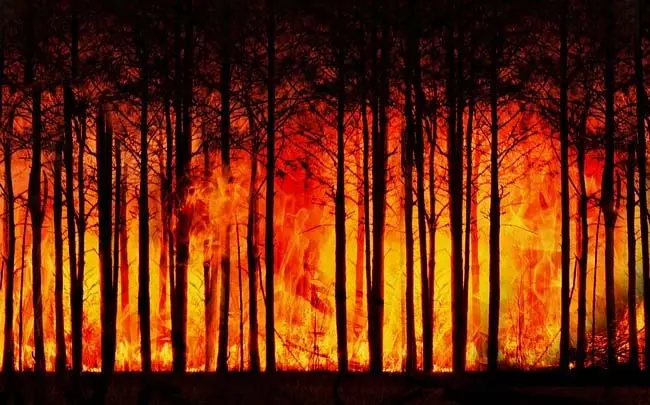 Un incendio forestal. / Pixabay