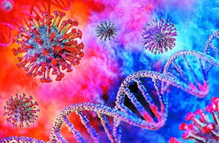 Coronavirus. / Pexels.