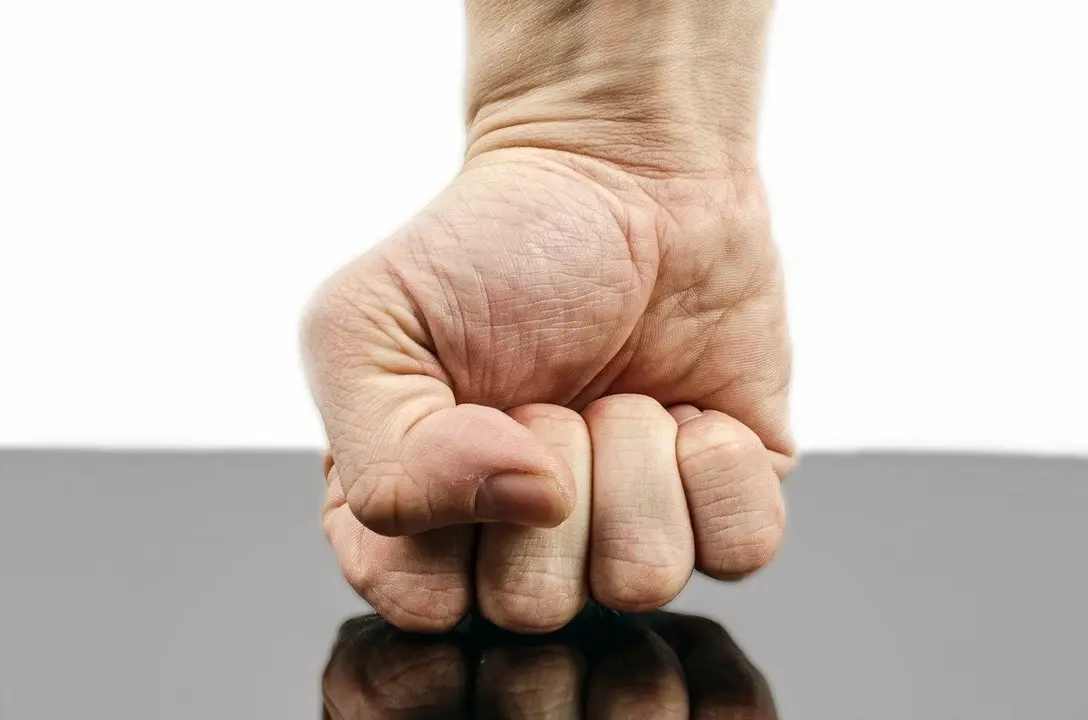 Golpe de pu&ntilde;o cerrado. Pixabay. Public Domain Pictures.