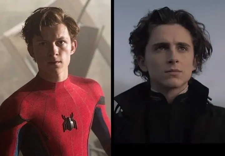 Tom Holland, actor; y Timoth&eacute;e Chalamet, actor. Productoras.