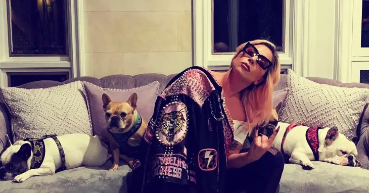 Lady Gaga, cantante, junto a sus perros Koji, Gustav y Asia. YouTube.