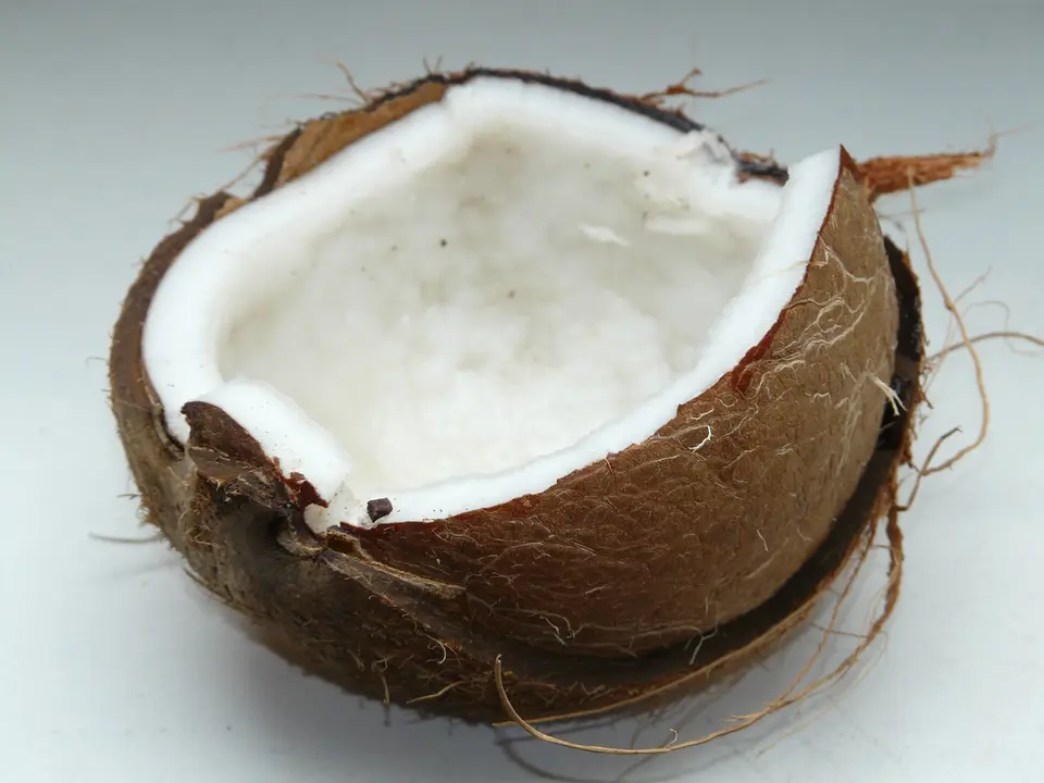 Un coco. / Pixabay