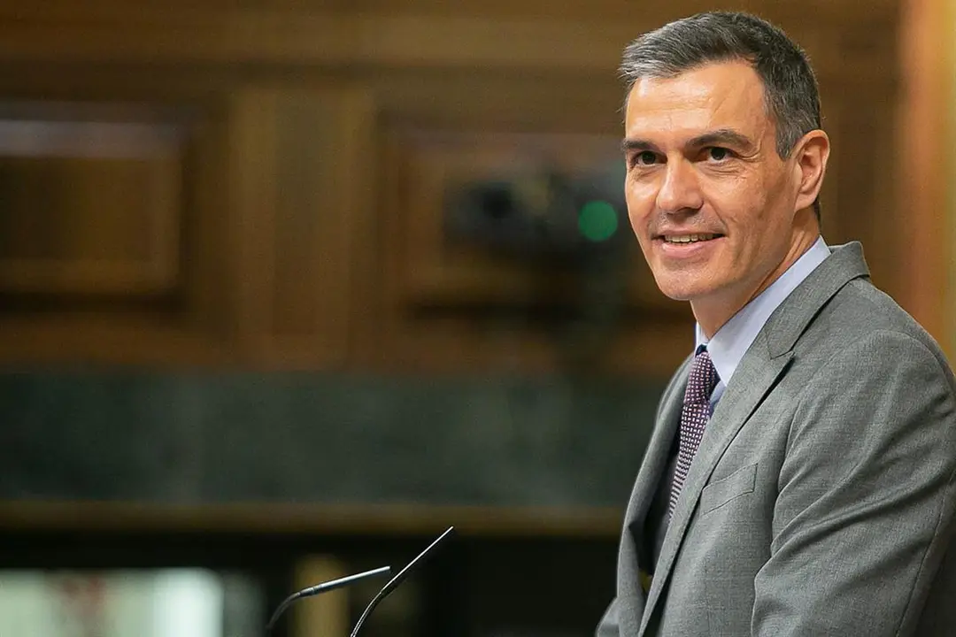 Pedro S&aacute;nchez. / Mundiario