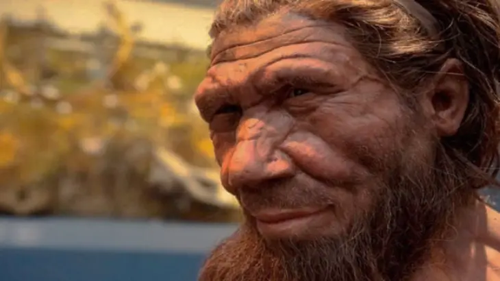 Homo Sapiens. / RR SS.