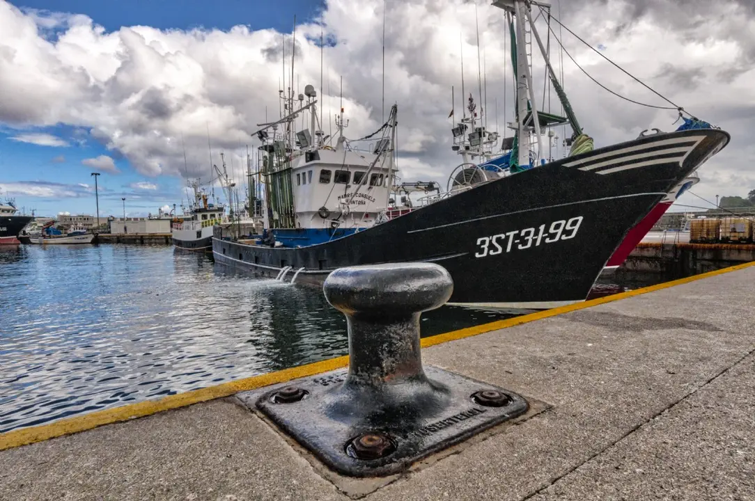 Puerto pesquero de Ondarroa. /  Turismo de Observación