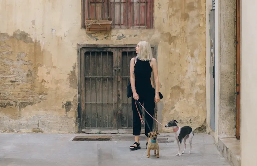 Perros pequeños con su dueña. / Nataliya Vaitkevich en Pexels.
