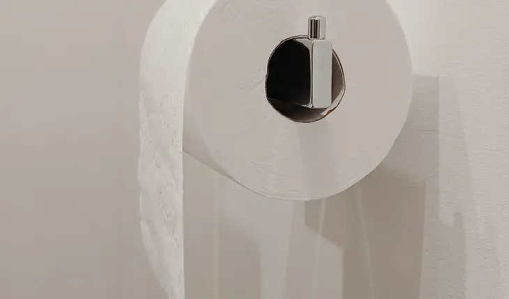 Papel higi&eacute;nico. / Pexels.com.