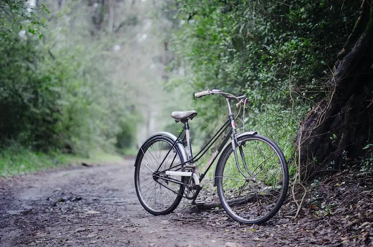 Bici en un bosque. / Martin Castro en Unsplash