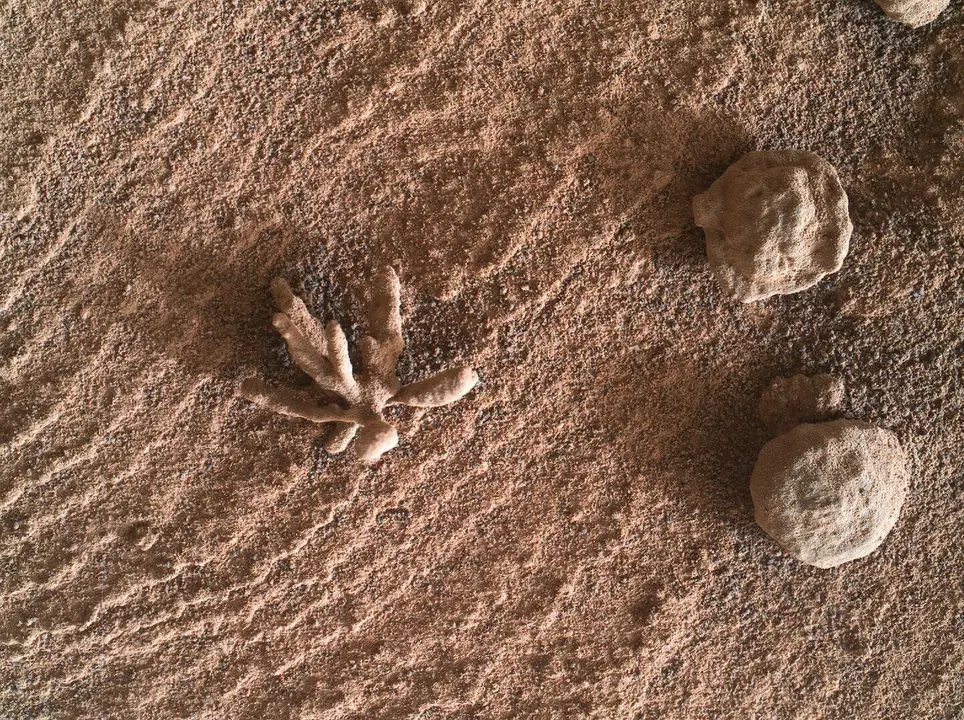 La 'flor marciana' captada por el r&oacute;ver Curiosity. / RR.SS.
