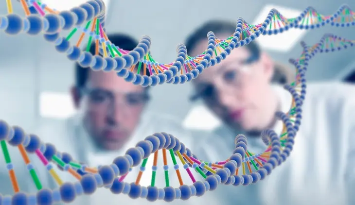 Genoma humano. / Science