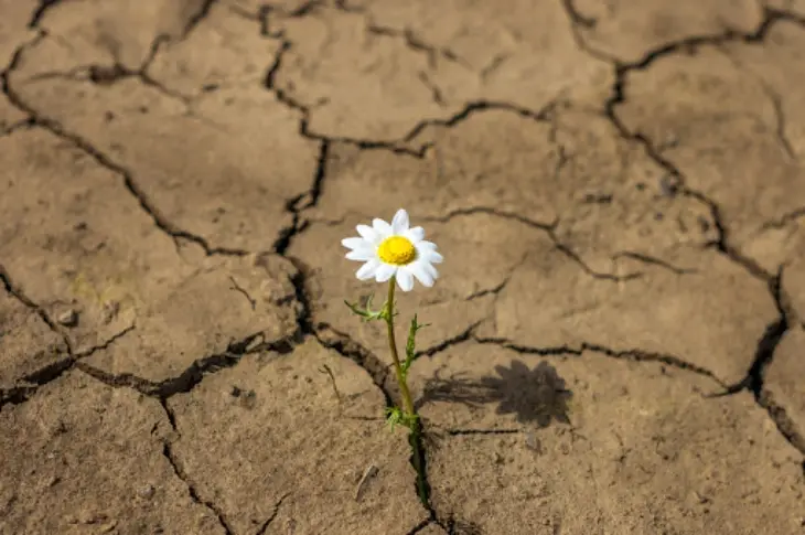 Resiliencia. / Mundiario