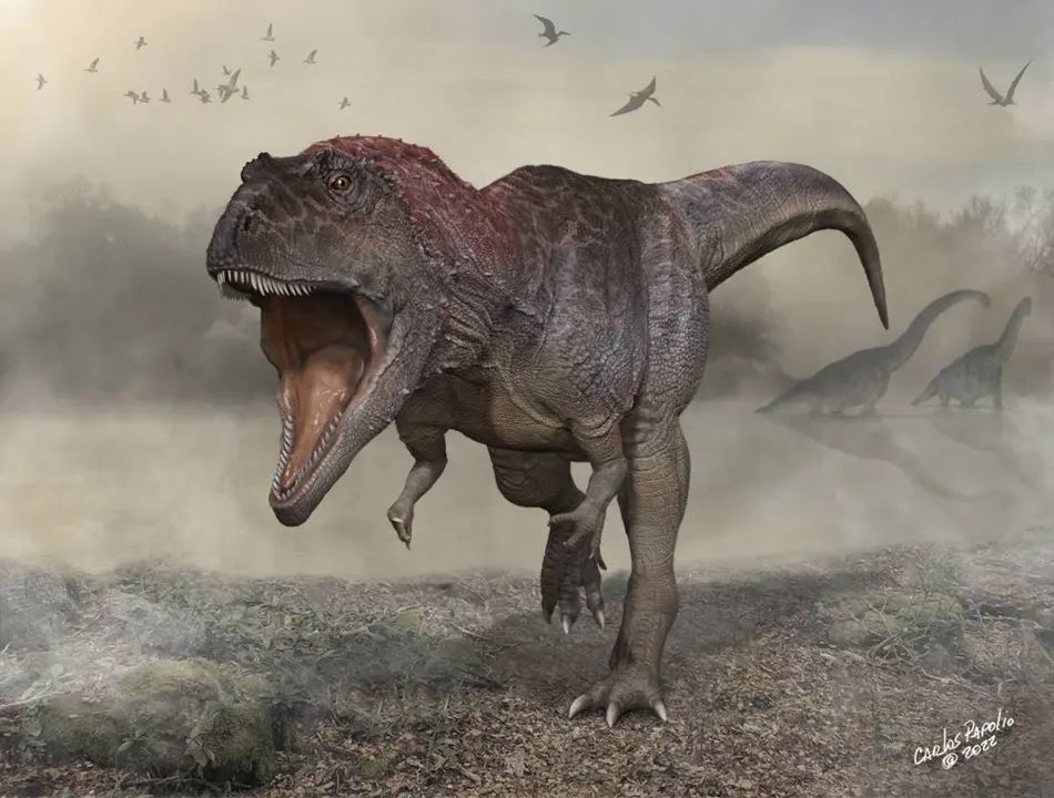 Meraxes gigas, nuevo dinosaurio hallado en Argentina. / Carlos Papolio