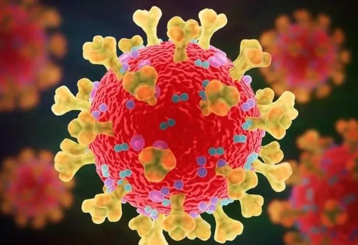 Virus de &oacute;micron. / RR SS.