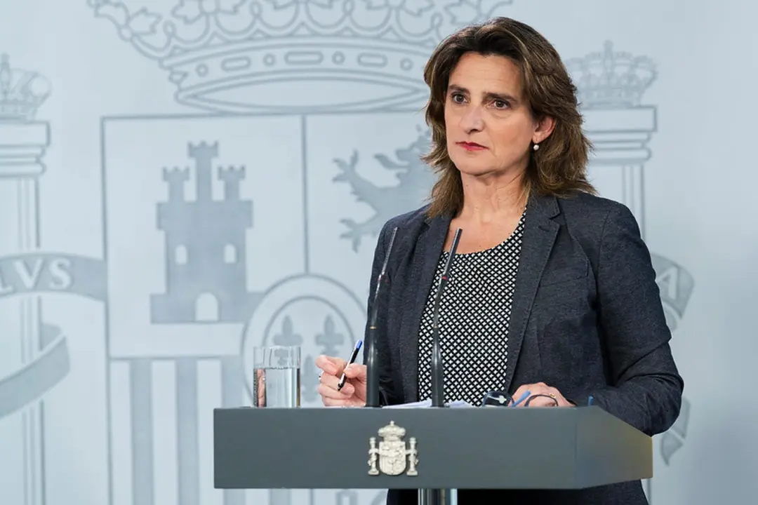 Teresa Ribera, vicepresidenta tercera y ministra de Transici&oacute;n Ecol&oacute;gica y Reto Demogr&aacute;fico.​ / RR SS