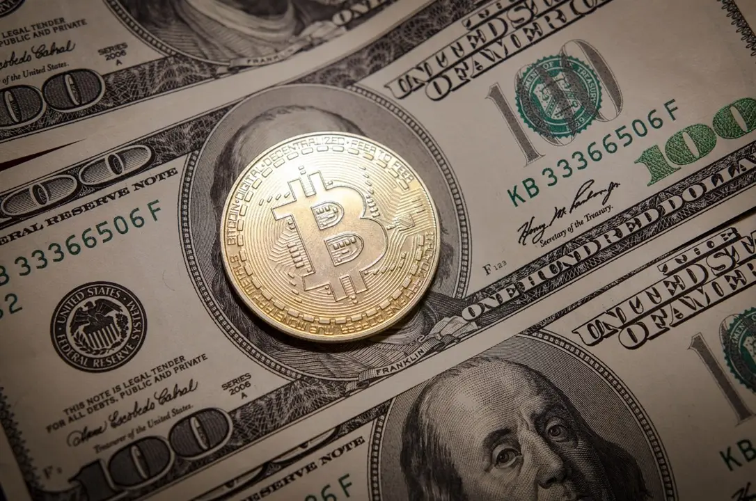 Representaci&oacute;n del bitcoin y d&oacute;lares / Petre Barlea de Pixabay