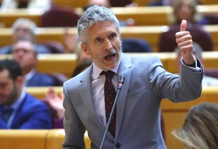 Fernando Grande-Marlaska, ministro del Interior. / RR SS.