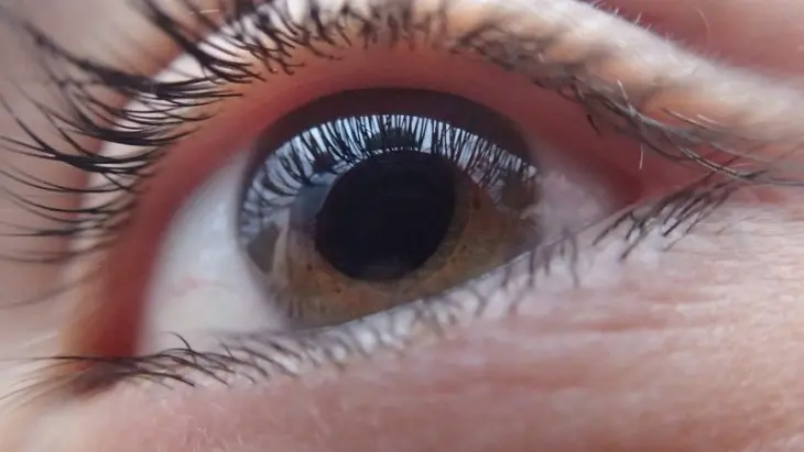 Existen unas 80 millones de personas con glaucoma y se espera que las cifras sigan aumentando, lo que plantea un importante problema de salud p&uacute;blica. / Pixabay