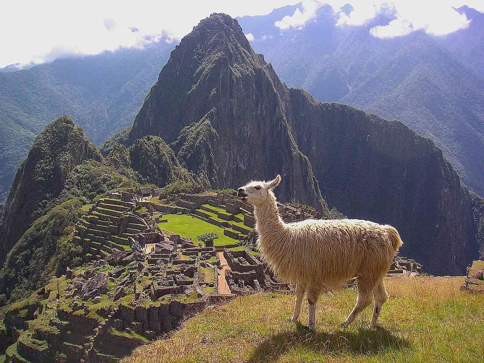 Per&uacute;./ RR SS