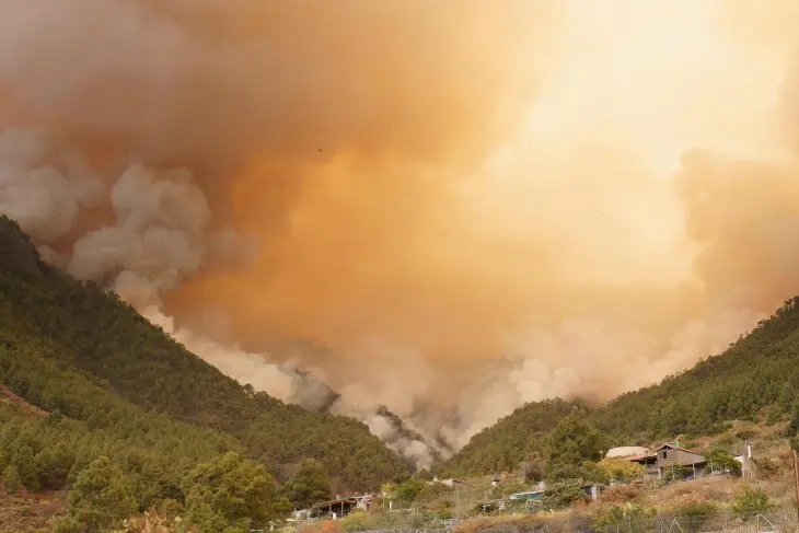 Incendio forestal en Tenerife. / RR SS.