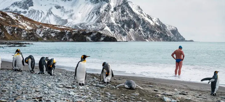 Un hombre se prepara para nadar mientras unos ping&uuml;inos retozan en una playa de la Ant&aacute;rtida. / PNUMA.