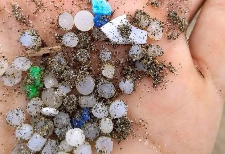 &lsquo;Pellets&rsquo; de pl&aacute;stico en las playas de Galicia. / @FernanVello.