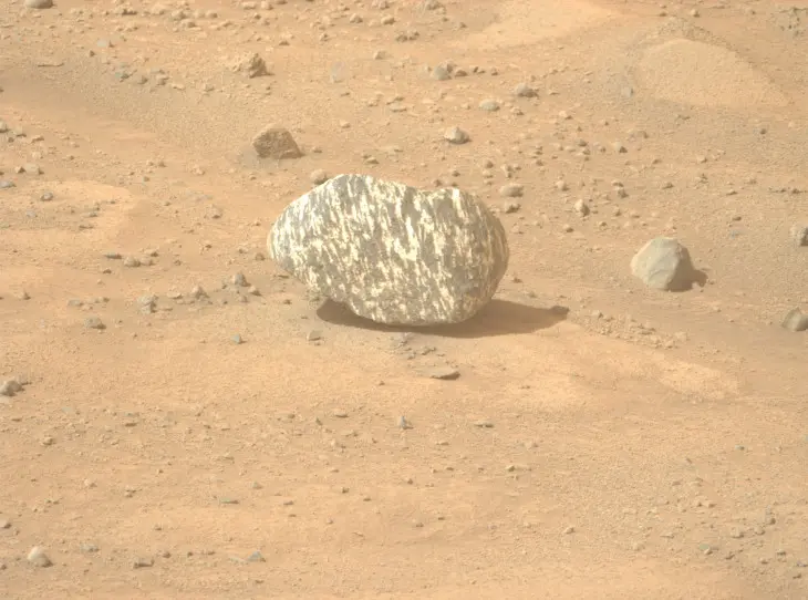 Roca con un patr&oacute;n de rayas blancas y negras encontrada por el rover Perseverance en Marte. / NASA