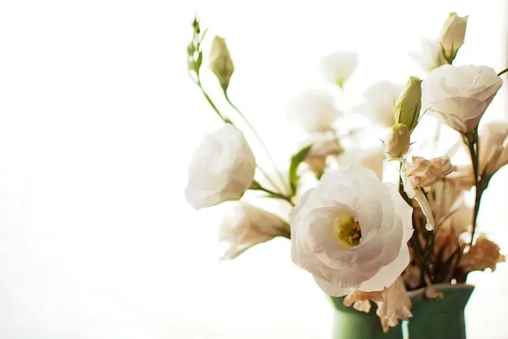 Ramo de rosas blancas. / Flor Saurina en Unsplash