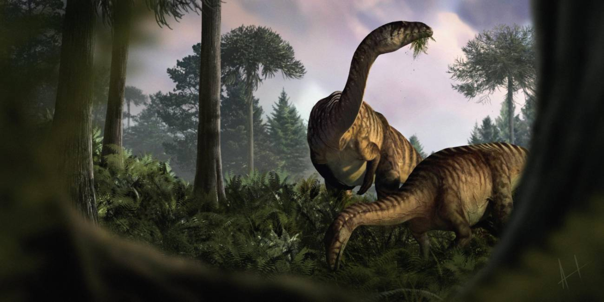 Reconstrucci&oacute;n de dinosaurios herb&iacute;voros sauropodomorfos. / Marcin Ambrozik