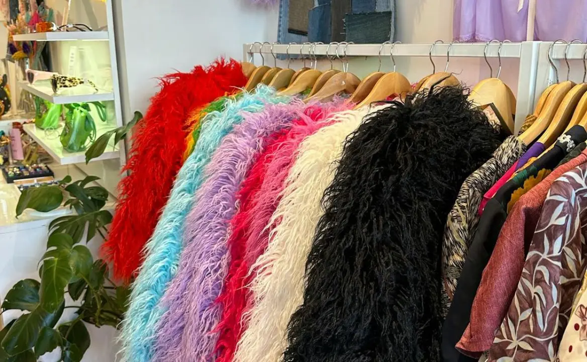 Conjunto de abrigos tipo pelo con diferentes colores.