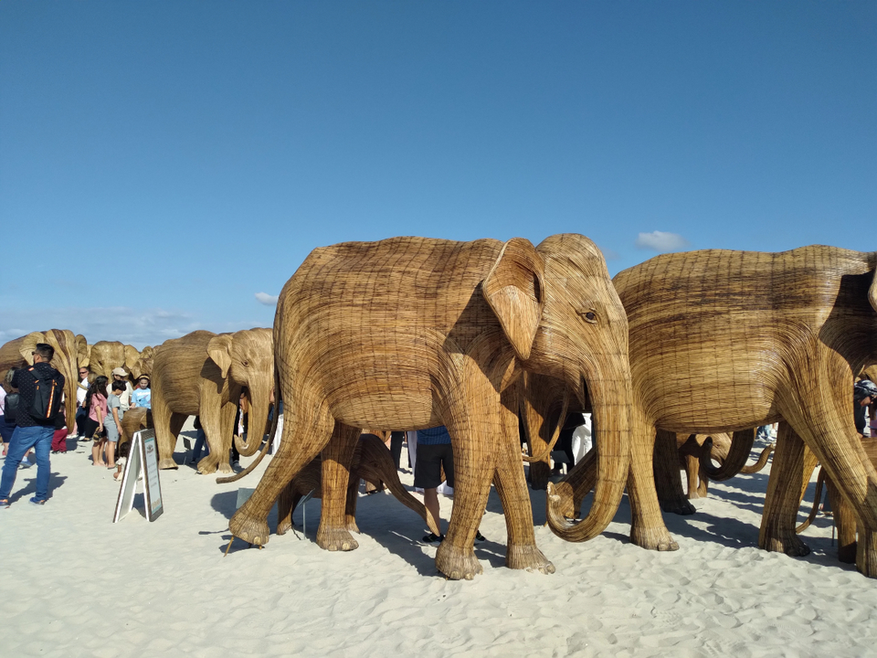 Cien esculturas de elefantes en Miami Beach, Florida. / Andr&eacute;s Alende