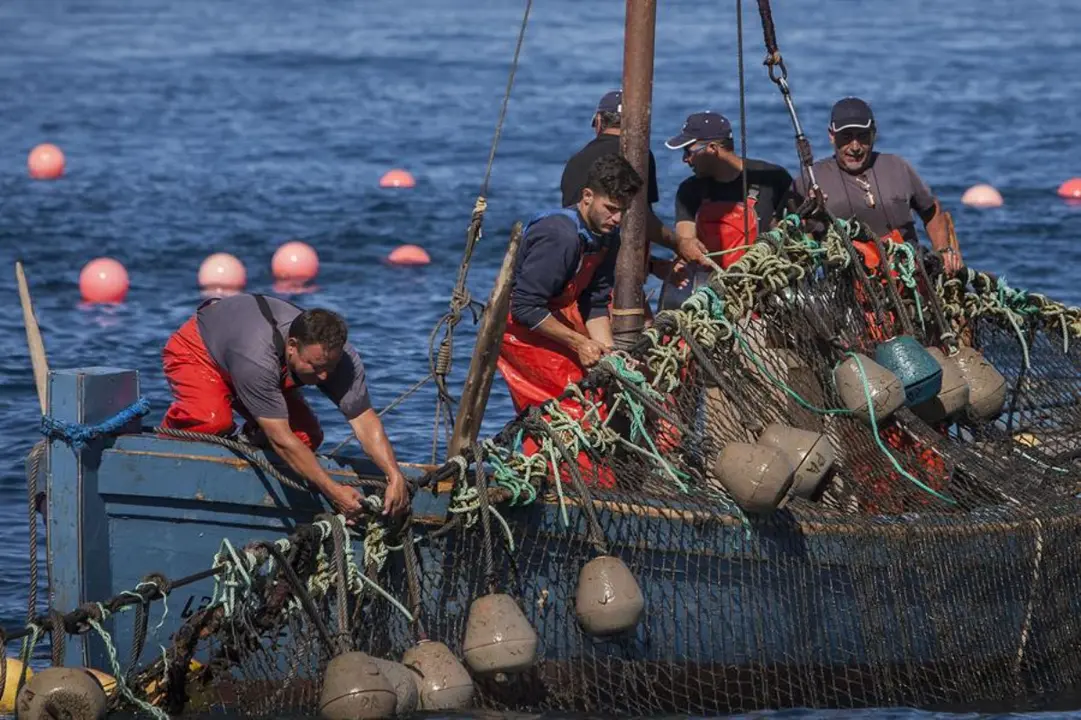 Pesca en el Mediterr&aacute;neo. / RR SS.